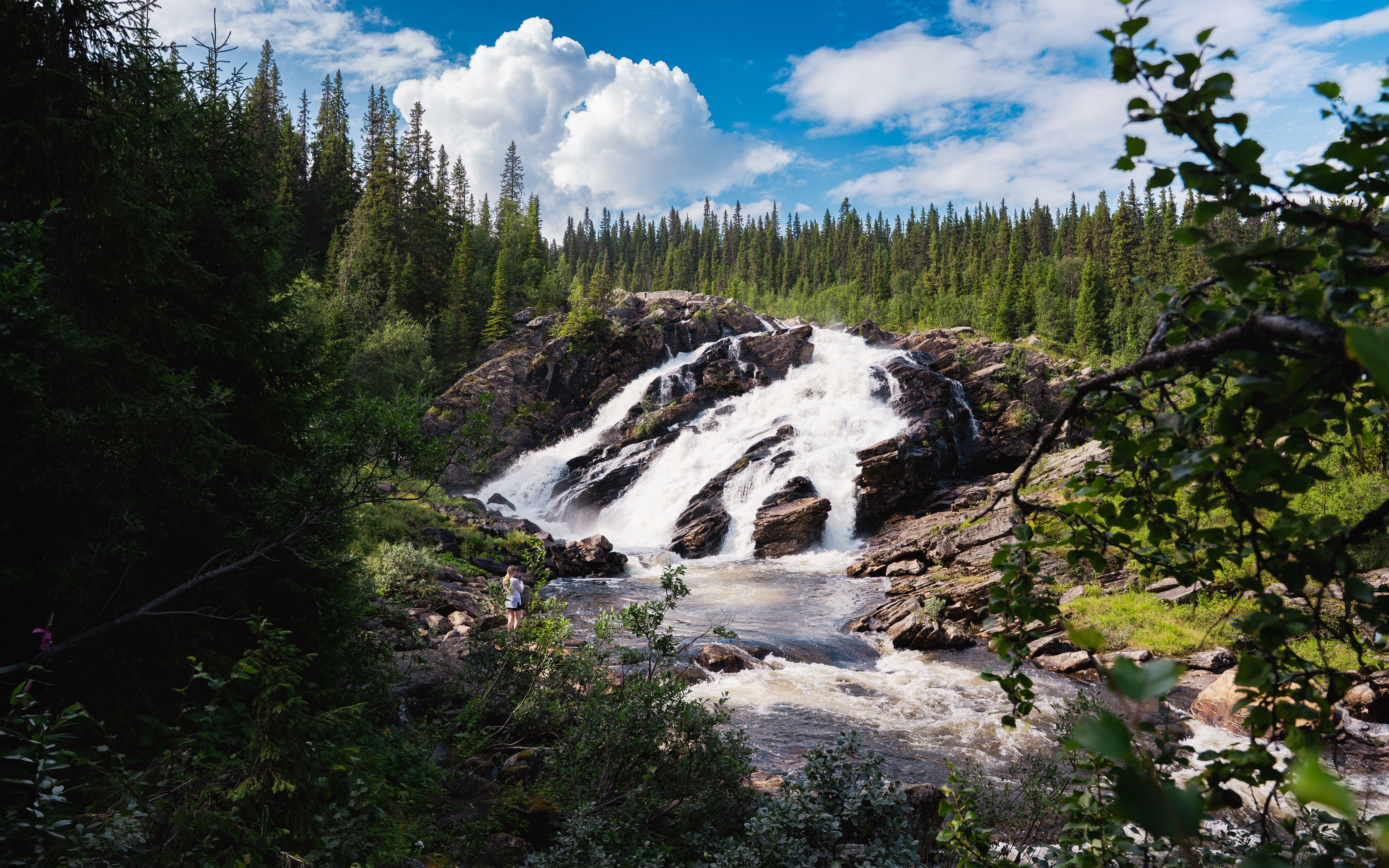 Fiskonfallet är ett imponerande vattenfall längs Vildmarksvägen där vattnet forsar fram i ett smalt, kraftfullt fall. Platsen bjuder på dramatisk natur och ett perfekt stopp för att njuta av ljudet och utsikten.
